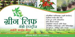 Vermicompost Fertilizer