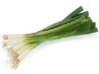 Organic Spring Onion