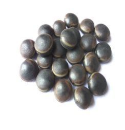 Aloe Rosary Herbal Seeds