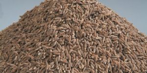 Cumin Seeds