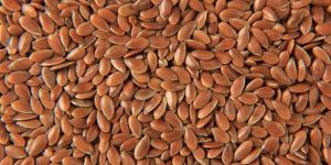 Flax Seeds