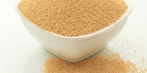 Organic Amaranth Seeds