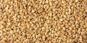 Sesame Seeds