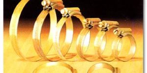 Worm Drive Hose Clip