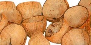 Coconut Shell
