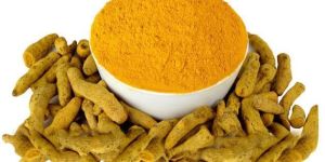 Salem Turmeric Finger