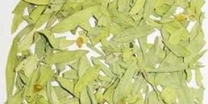 Dried Senna Leaves