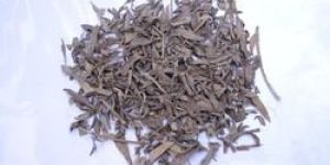 Rasna Roots