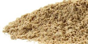 Shatavari Powder
