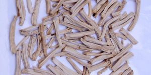 White Shatavari Roots