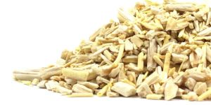 Yellow Shatavari Roots