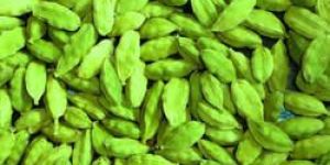 Organic Green Cardamom
