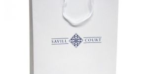 Laminated Printed Paper Carry Bags