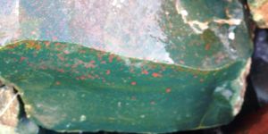 Rough Bloodstone