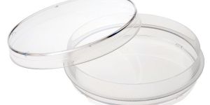 Petri Dish