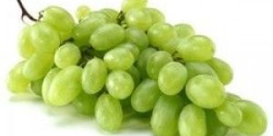 Fresh Grapes