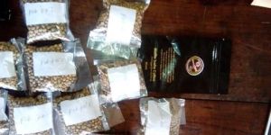 Arabica Coffee Beans