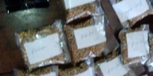 Assorted Coffee Beans