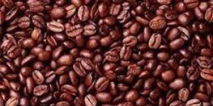 Robusta Coffee Beans