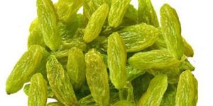 Green Raisin