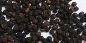 Black Pepper