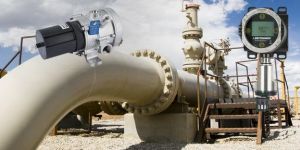 Gas Monitoring System