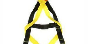 Safety Belts