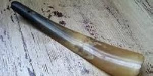Bull Shoe Horn