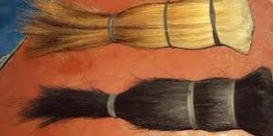 Horse Tail Hair