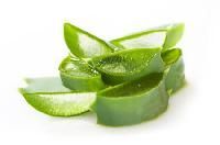 Aloe Vera Body Lotion