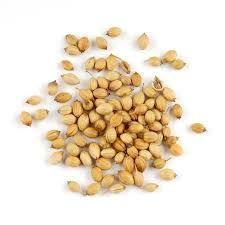 Coriander Seeds