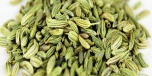 Fennel Seeds