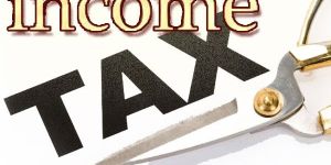 Income Tax Consultants