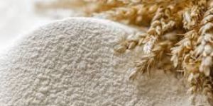 Wheat Flour