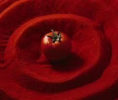 Spray Dried Tomato Powder