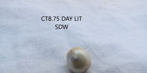 CT8.75 Day Lit SDW Pearl