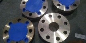 Stainless Steel Flanges