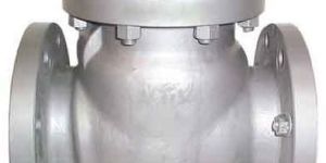 Mild Steel Check Valves