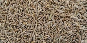 Cumin Seeds