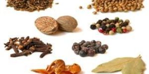 Spices
