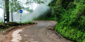 Chandigarh to Kasauli Taxi Services