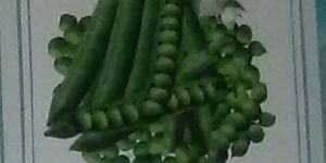 Yash-1010 Fresh Green Peas seed