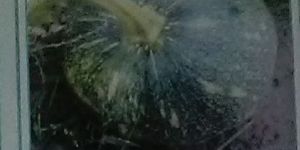 Gagan Fresh Pumpkin Seed