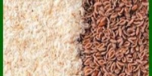 Psyllium Husk