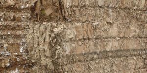 Double Sorted Old Corrugated Cartons