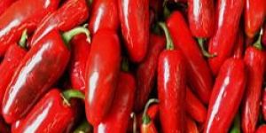 Red Chillies