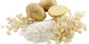 Dehydrated Potato Powder