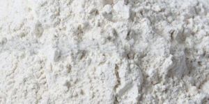 Dehydrated White Onion Powder