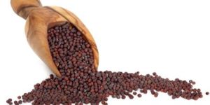 Mustard Seeds