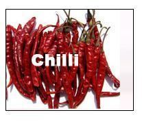 Dried Chillies